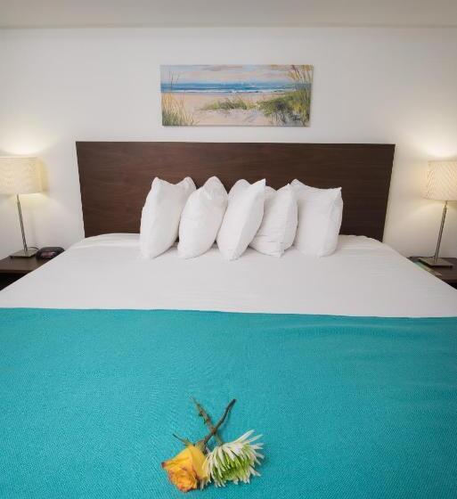 جناح سرير كينج, Regency Inn & Suites Sarasota