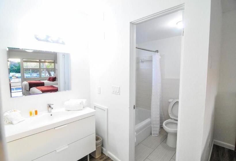 غرفه قياسيه سريرين مزدوجين, Regency Inn & Suites Sarasota