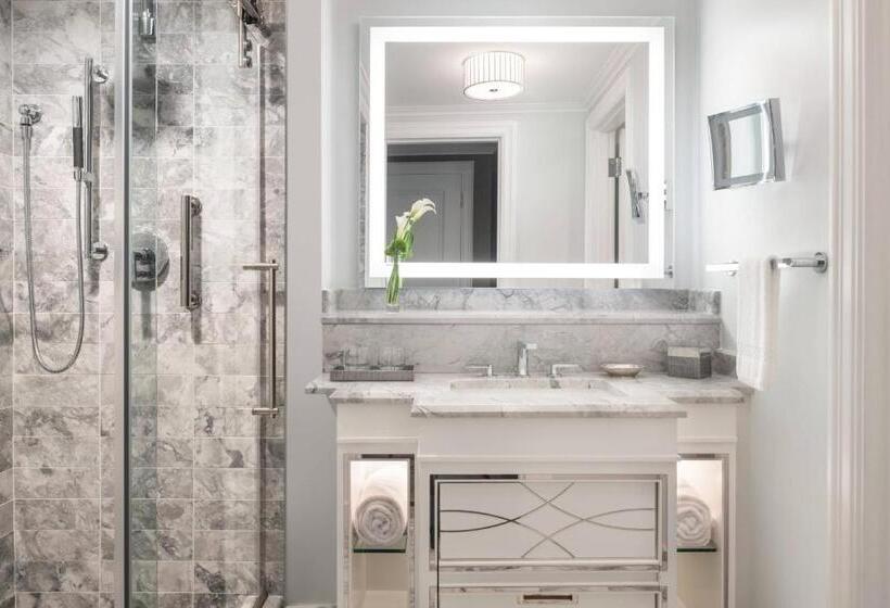 اتاق دلوکس مخصوص معلولین, The Ritzcarlton, New Orleans