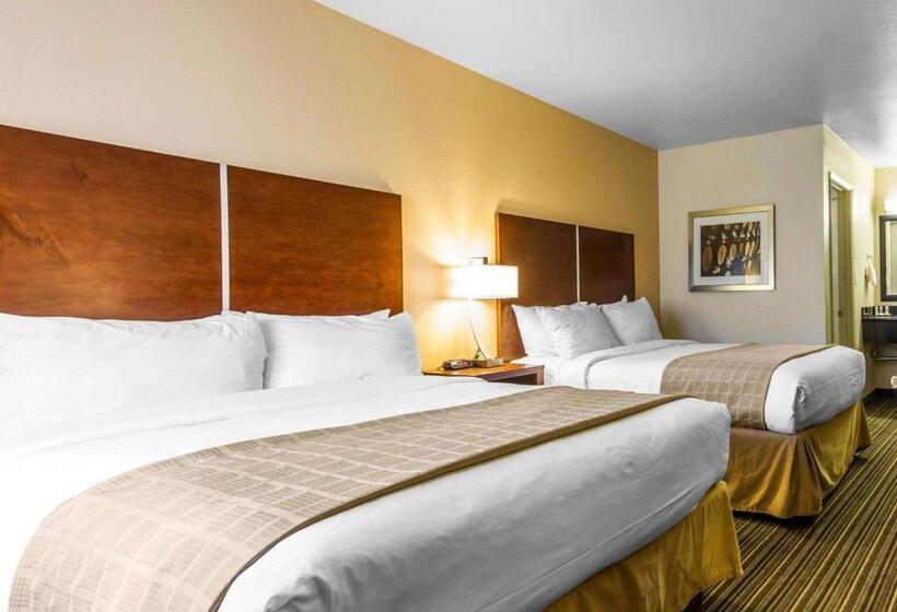 غرفه قياسيه سريرين مزدوجين, Motel 6 Martinez, Ca