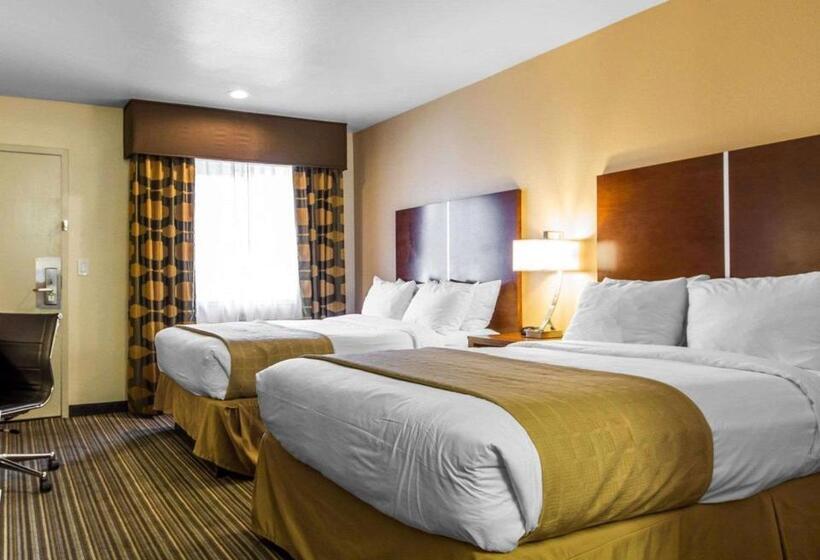 غرفه قياسيه سريرين مزدوجين, Motel 6 Martinez, Ca