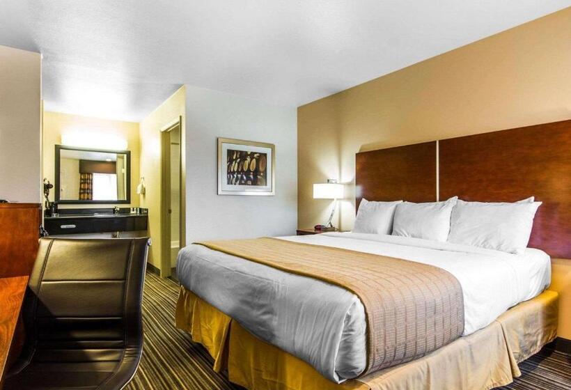 스탠다드 룸 킹사이즈 침대, Motel 6 Martinez, Ca