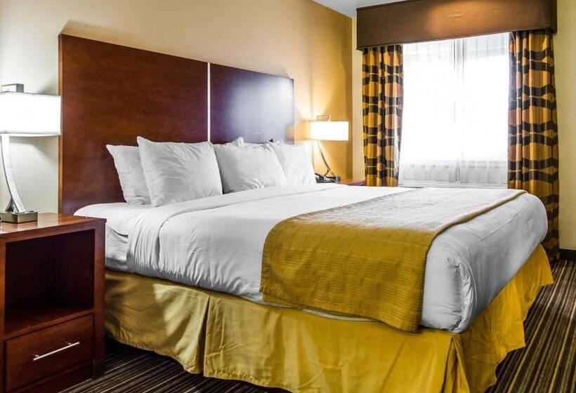 غرفة قياسية سرير كينج, Motel 6 Martinez, Ca