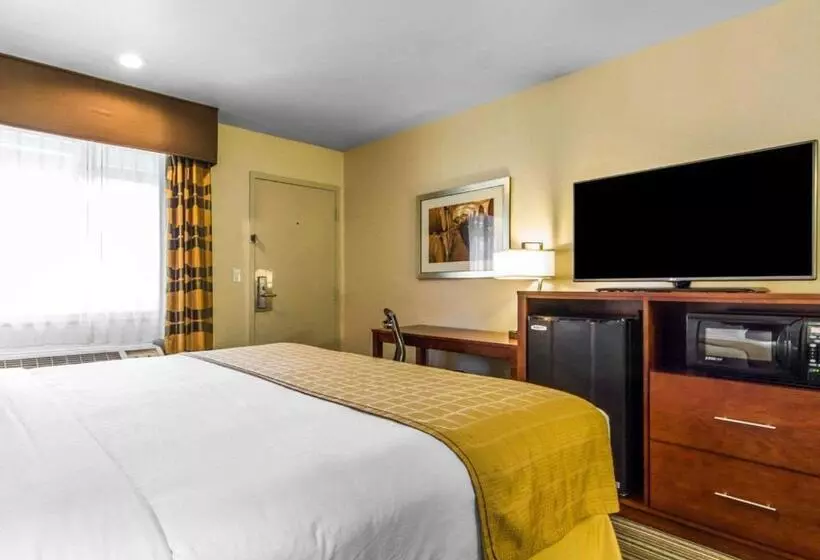 اتاق استاندارد با تخت بزرگ, Motel 6 Martinez, Ca