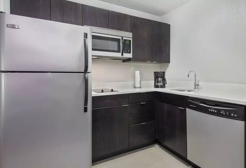 身障者適用スイートルーム, Residence Inn Tampa Sabal Park/brandon