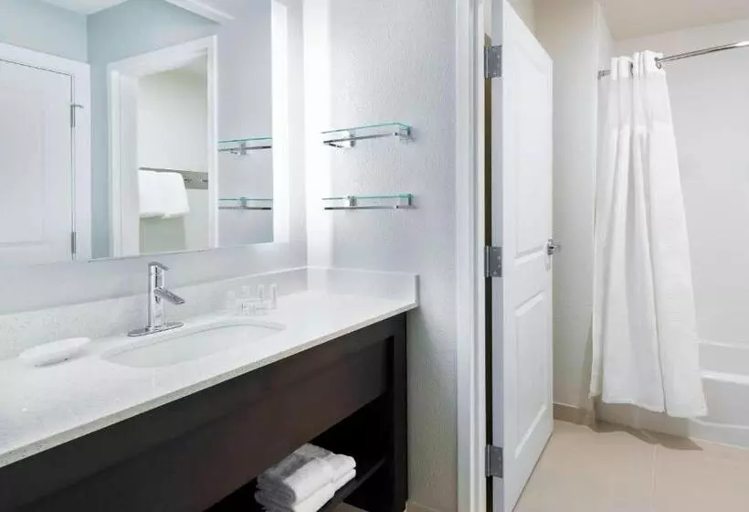 身障者適用スイートルーム, Residence Inn Tampa Sabal Park/brandon