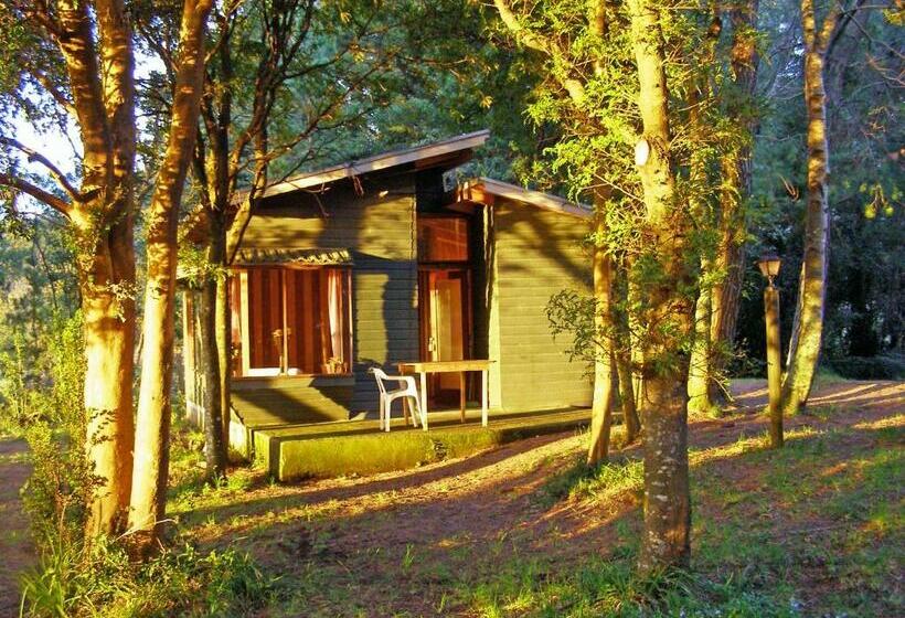 דירת חדר, Cabañas Vista Al Lago