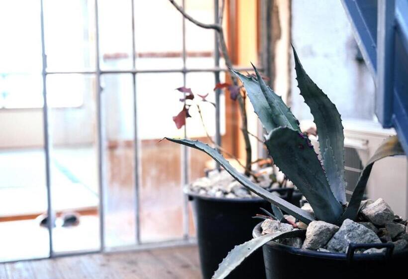 חדר סטנדרט, Chaho Hostel Nirasaki / Outdoor Base