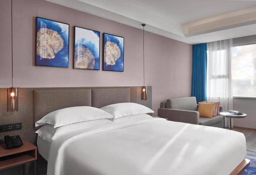 חדר דחוקס עם מיטת קינג, Aurea Central