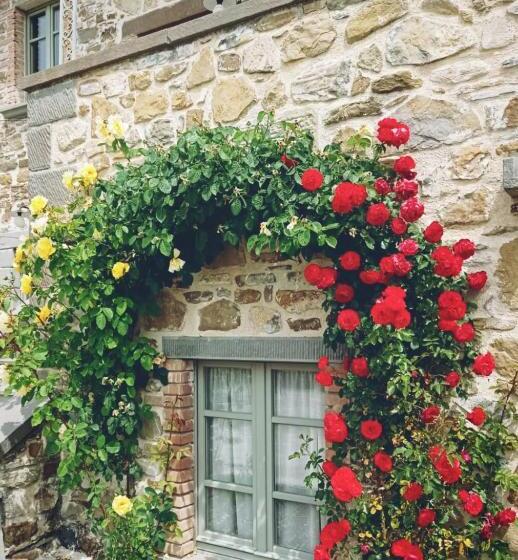 Полулюкс, Podere Paradiso