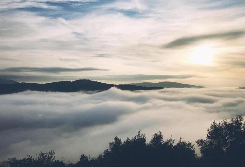 جناح سرير كينج, Podere Paradiso