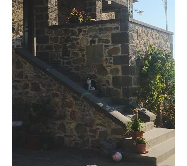 Люкс Кровать Кинг, Podere Paradiso