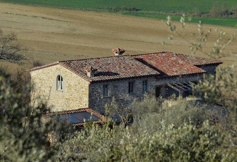 جناح سرير كينج, Podere Paradiso