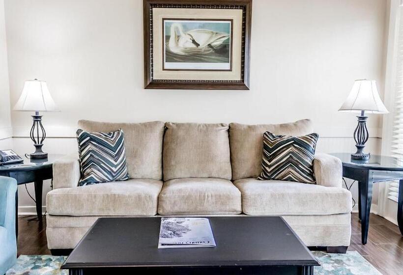 جناح ديلوكس سرير كينج, The Lodge At The Bluffs