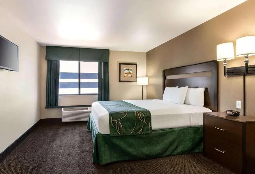 身障者適用スタンダードルーム, Travelodge By Wyndham Santa Teresa