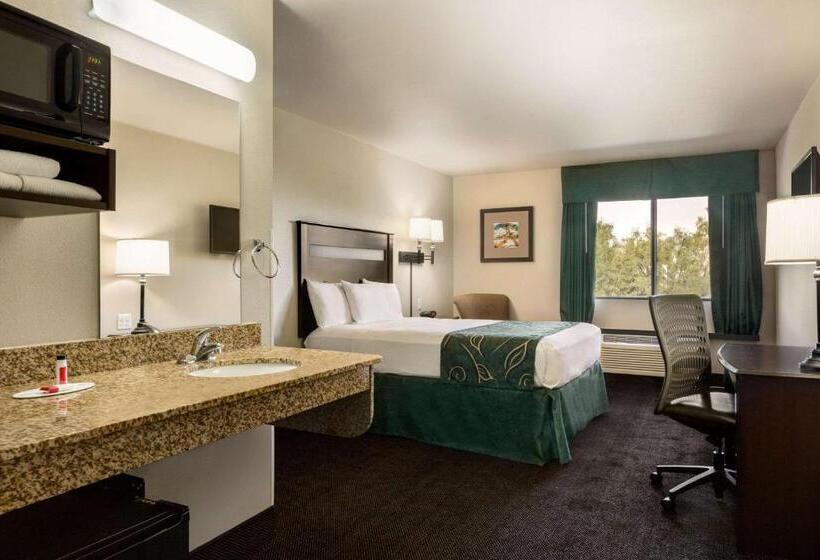 غرفة قياسية لذوى الاحتياجات الخاصة, Travelodge By Wyndham Santa Teresa