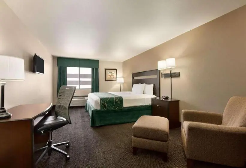 身障者適用キングサイズベッドルーム, Travelodge By Wyndham Santa Teresa