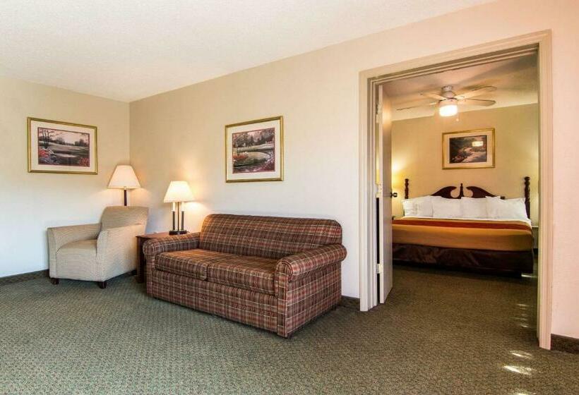 מיטת קינג בסוויטה, Econo Lodge Inn & Suites Conference Center Dublin