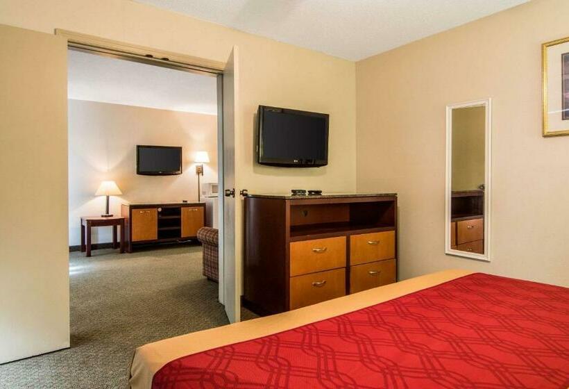 מיטת קינג בסוויטה, Econo Lodge Inn & Suites Conference Center Dublin