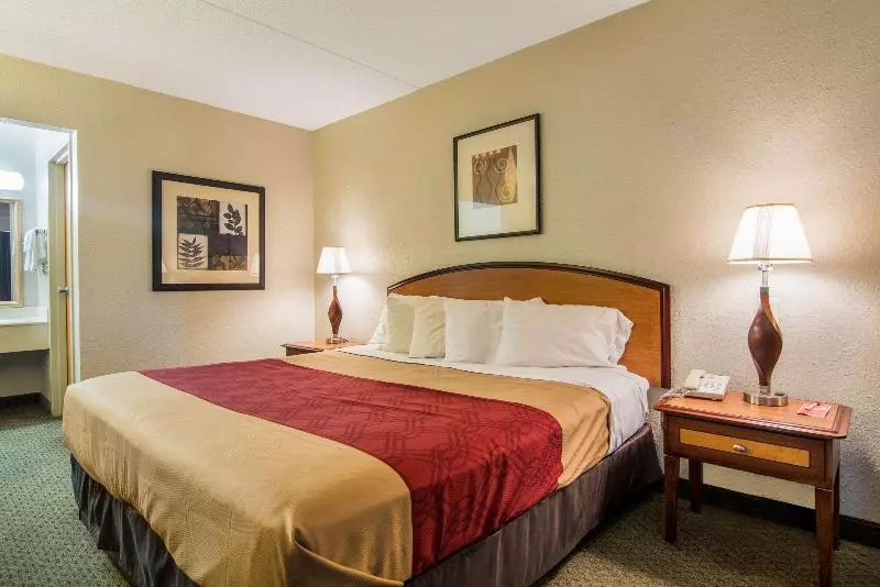 キングサイズベッドのスタンダードルーム, Econo Lodge Inn & Suites Conference Center Dublin