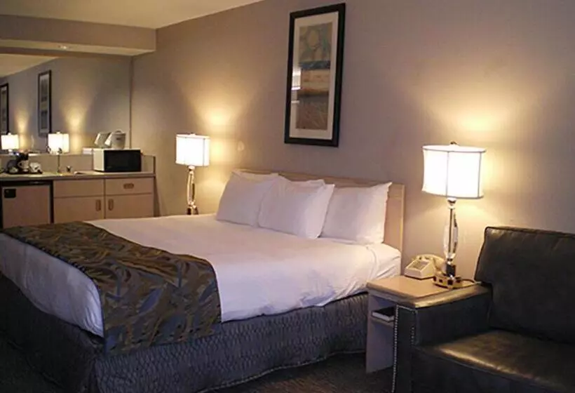 キングサイズベッドのスタンダードルーム, Shilo Inn Suites Hotel   Nampa Suites