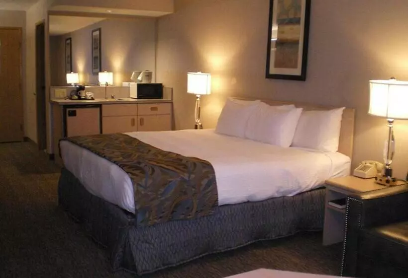 キングサイズベッドのスタンダードルーム, Shilo Inn Suites Hotel   Nampa Suites