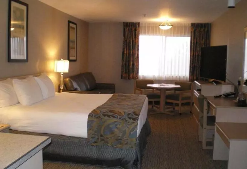 キングサイズベッドのスタンダードルーム, Shilo Inn Suites Hotel   Nampa Suites