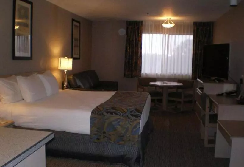 キングサイズベッドのスタンダードルーム, Shilo Inn Suites Hotel   Nampa Suites