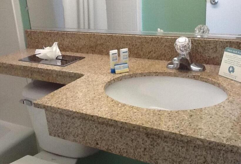 스탠다드 룸 더블 침대 2개, The Schooner Inn