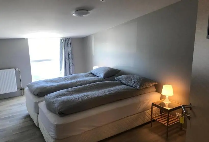 اتاق اکونومی, Blue Viking Guesthouse