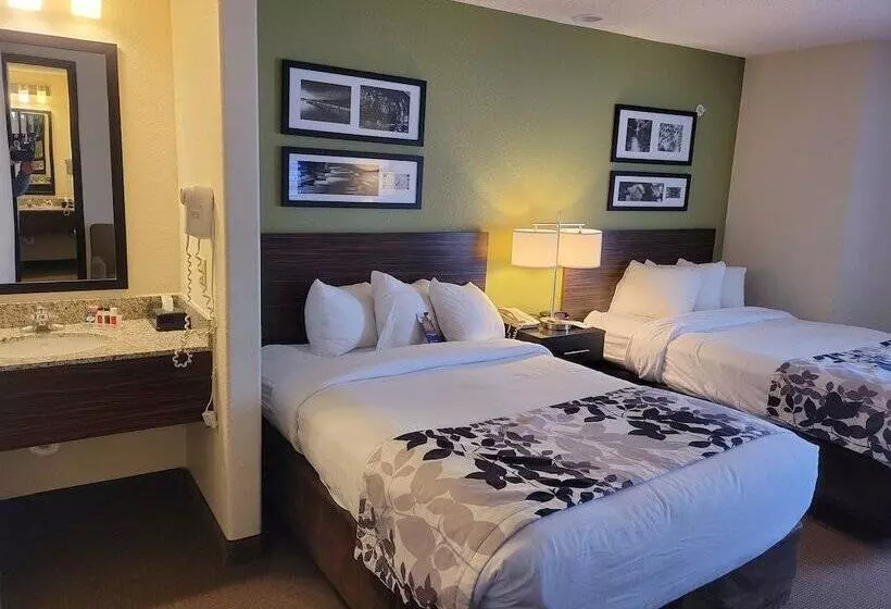 اتاق استاندارد با 2 تخت دوبل, Baymont By Wyndham Pueblo