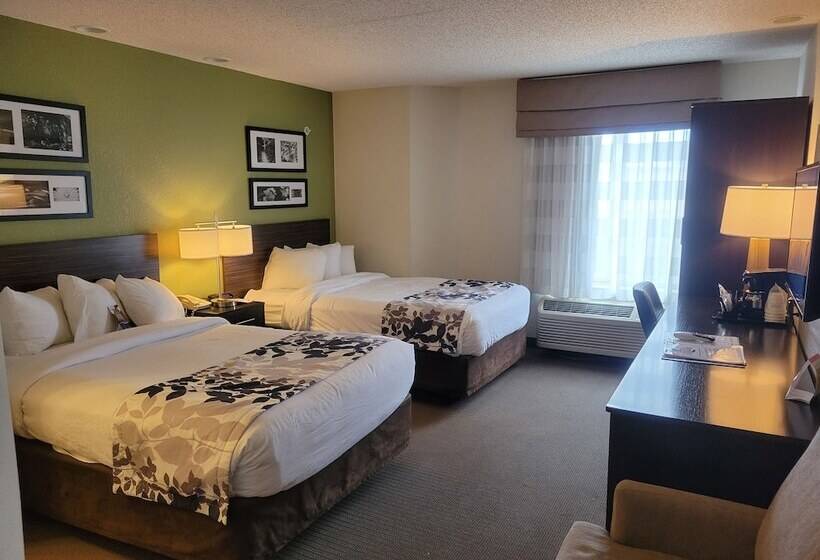 带2个双人床的标准工作室, Baymont By Wyndham Pueblo