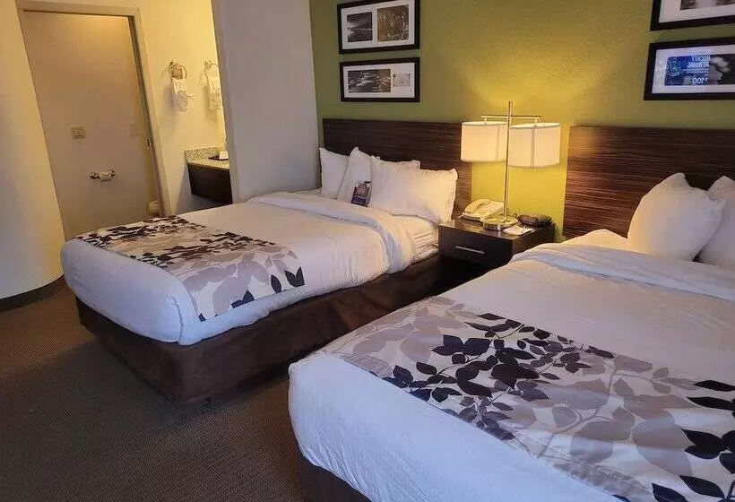 اتاق استاندارد با 2 تخت دوبل, Baymont By Wyndham Pueblo