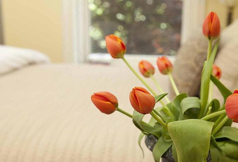 带花园的豪华房间, Morgan State House Inn