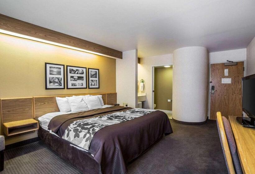 Стандартный Номер Кровать Кинг, Quality Inn Moab Slickrock Area