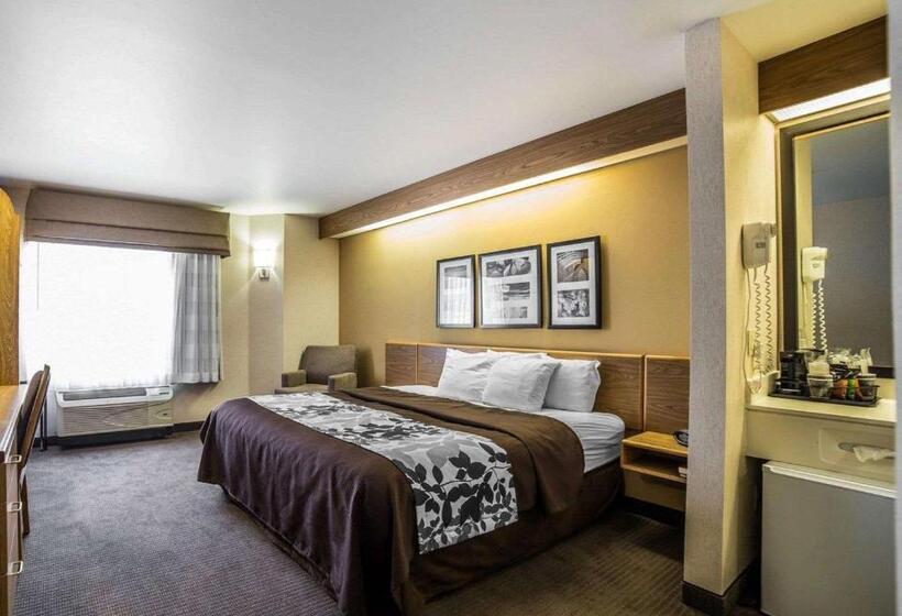 キングサイズベッドのスタンダードルーム, Quality Inn Moab Slickrock Area