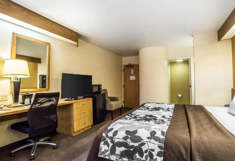 キングサイズベッドのスタンダードルーム, Quality Inn Moab Slickrock Area