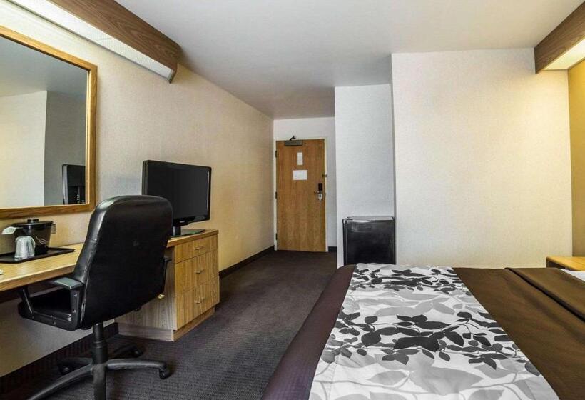 Стандартный Номер Кровать Кинг, Quality Inn Moab Slickrock Area