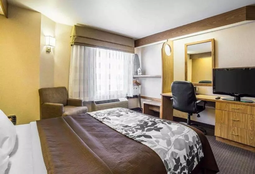 身障者適用スタンダードルーム, Quality Inn Moab Slickrock Area