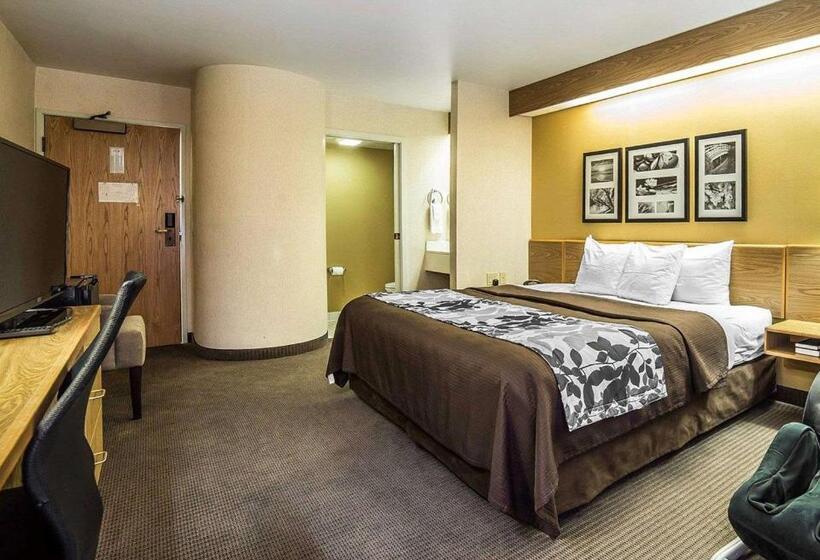 身障者適用スタンダードルーム, Quality Inn Moab Slickrock Area