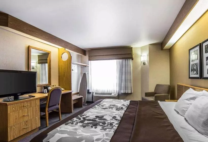 身障者適用スタンダードルーム, Quality Inn Moab Slickrock Area