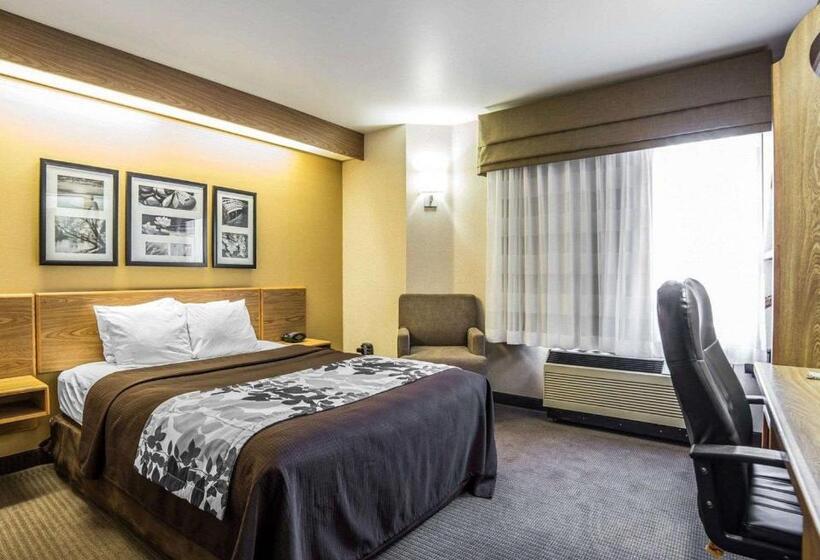 Номер Стандарт Адаптированный для Инвалидов, Quality Inn Moab Slickrock Area