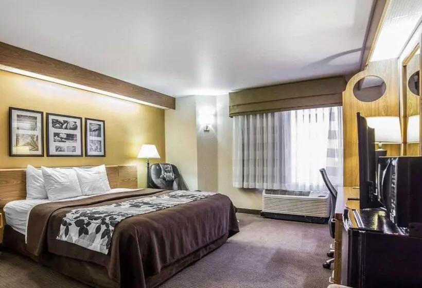 身障者適用スタンダードルーム, Quality Inn Moab Slickrock Area