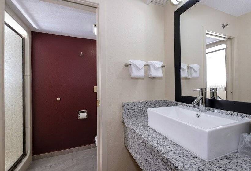 غرفة ديلوكس, Red Roof Inn Plus+ Palm Coast