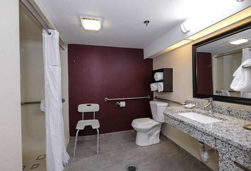 غرفة ديلوكس, Red Roof Inn Plus+ Palm Coast