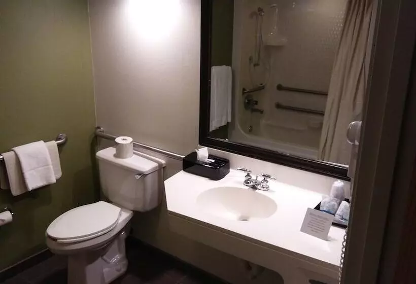 اتاق استاندارد با 2 تخت دوبل, Econo Lodge Amarillo East