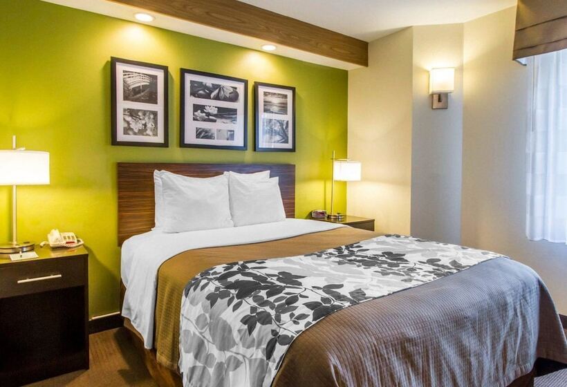 غرفه قياسيه سريرين مزدوجين, Econo Lodge Amarillo East