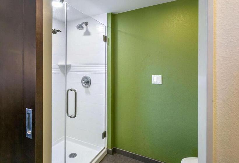 ２ダブルベッドのスタンダードルーム, Sleep Inn Allentown Fogelsville