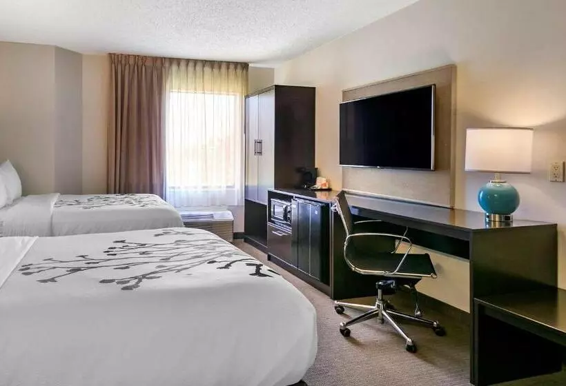 اتاق استاندارد با 2 تخت دوبل, Sleep Inn Allentown Fogelsville