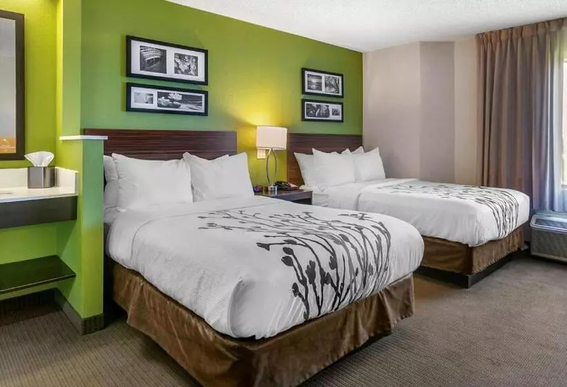 اتاق استاندارد با 2 تخت دوبل, Sleep Inn Allentown Fogelsville